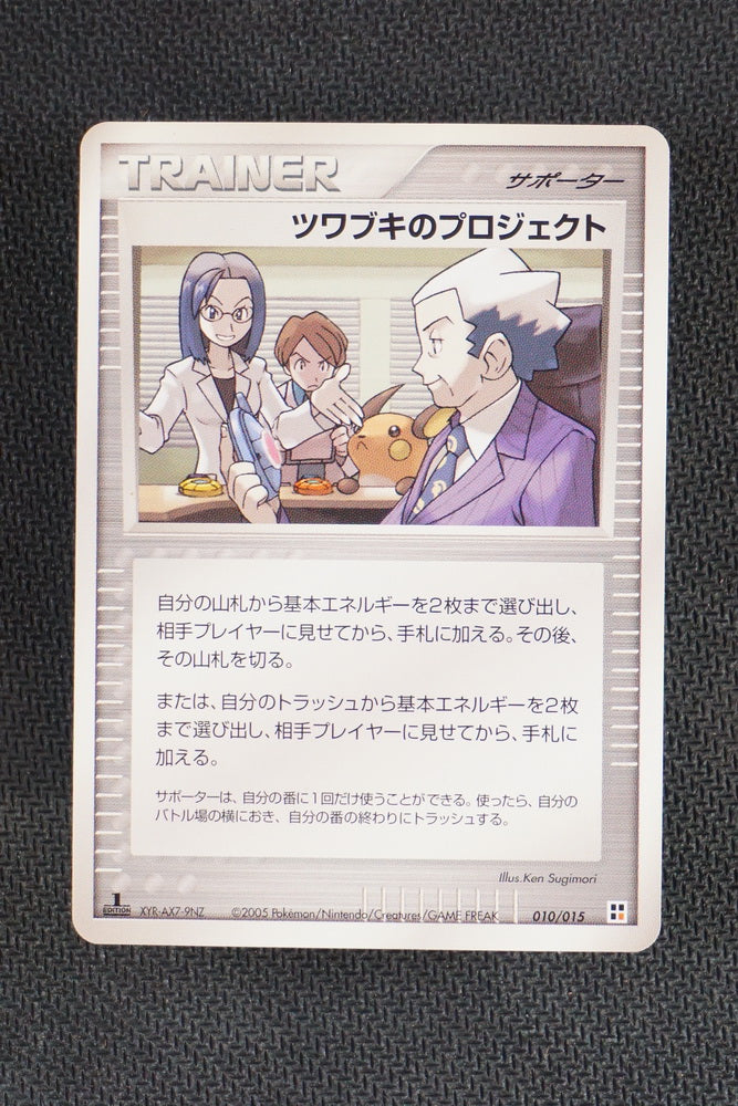 Mr. Stone's Project 010/015 - Fighting Quick Deck - Japanese