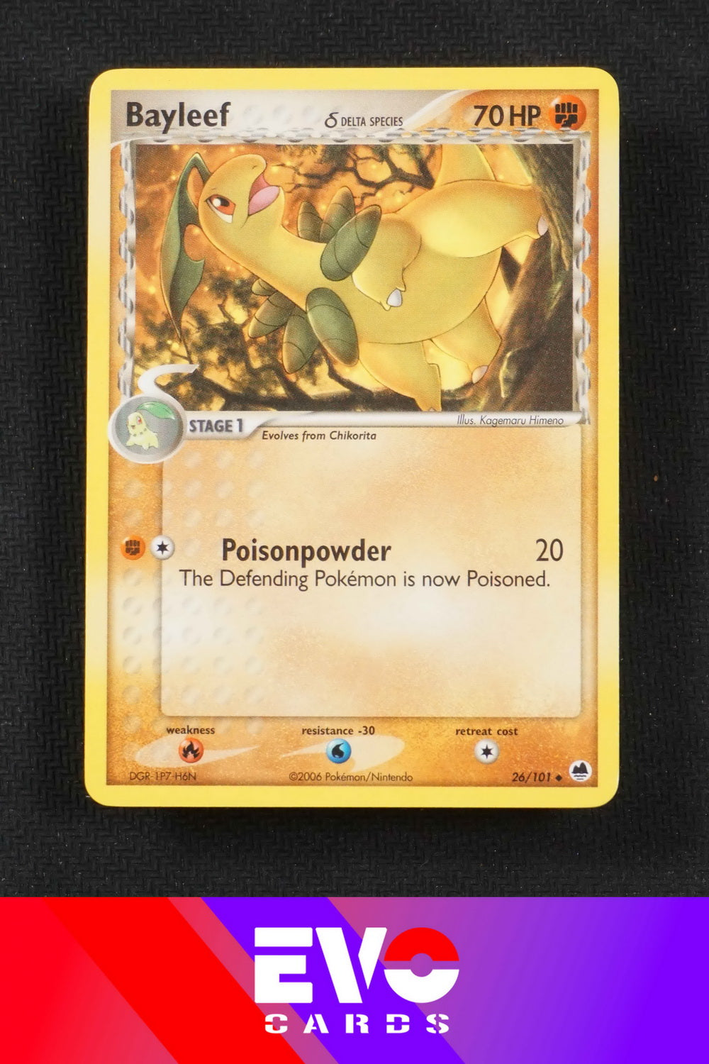 Bayleef 26/101 - ex Dragon Frontiers - Near Mint