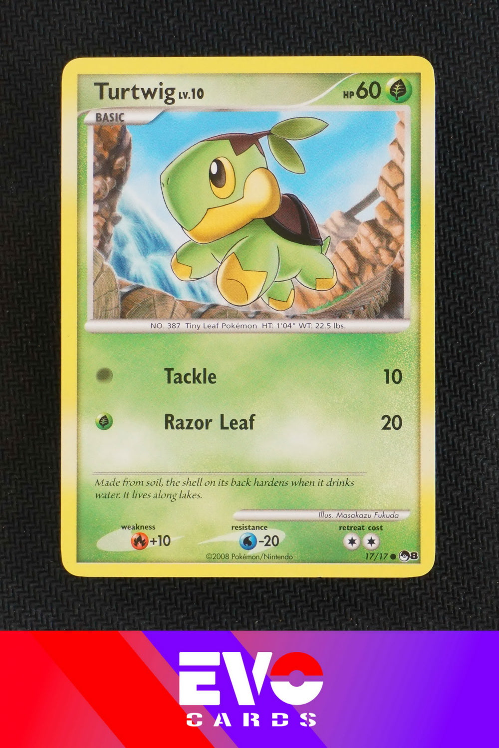 Turtwig 17/17 - Pop Series 8 - Near Mint