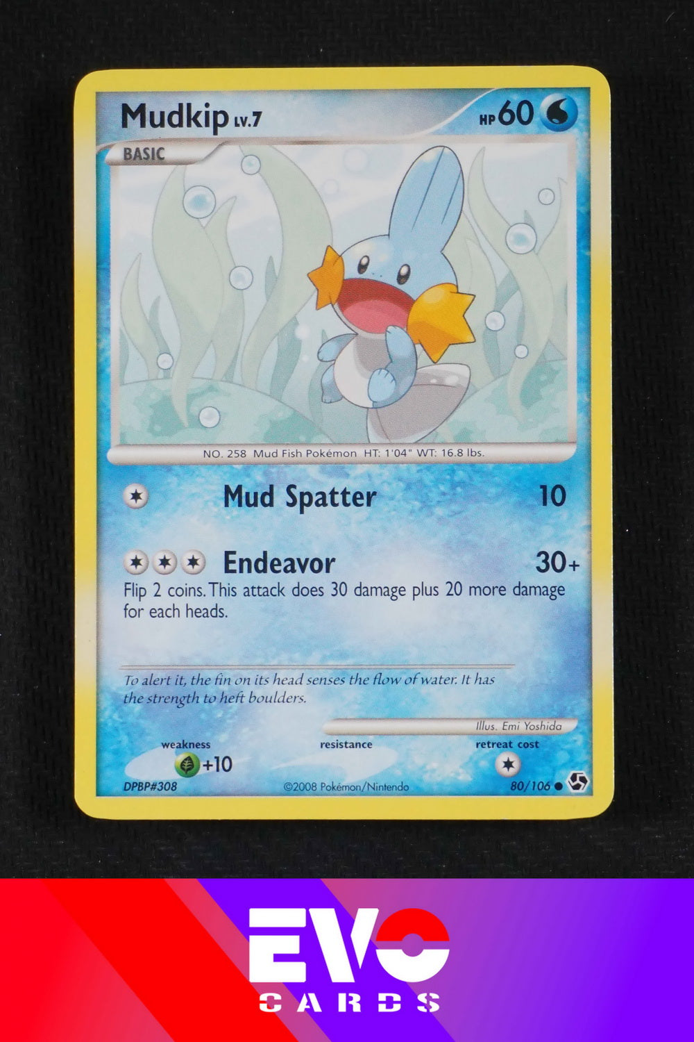 Mudkip 80/106 Great Encounters - Excellent
