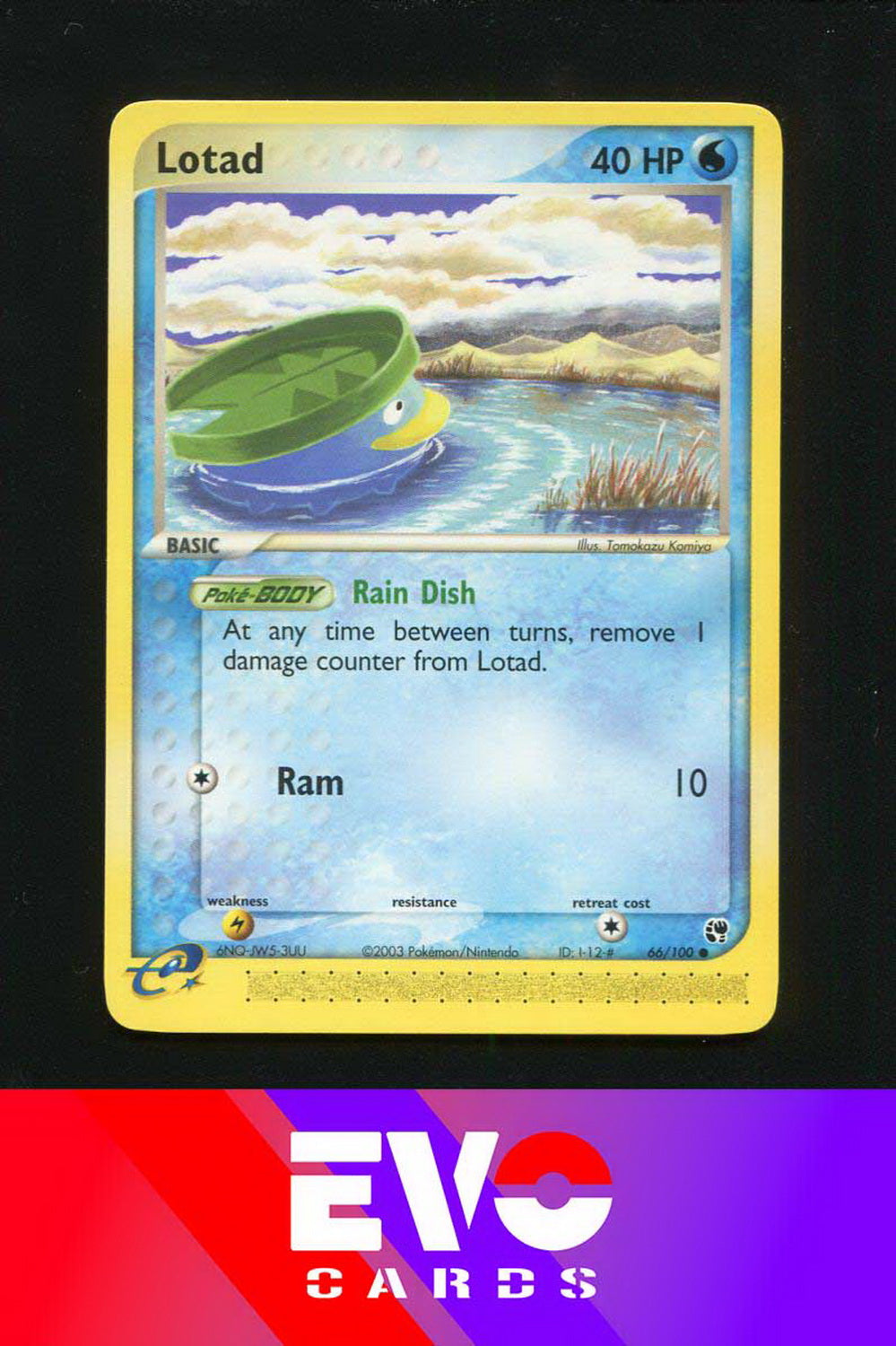 Lotad 66/100 - ex Sandstorm - Near Mint